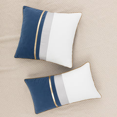 Luxe Velvet cushions (02 Pcs)