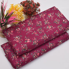 2Pcs Unstitched - DSN-64